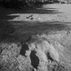 Illustration for article titled Photo Mission Gallery: Black and White